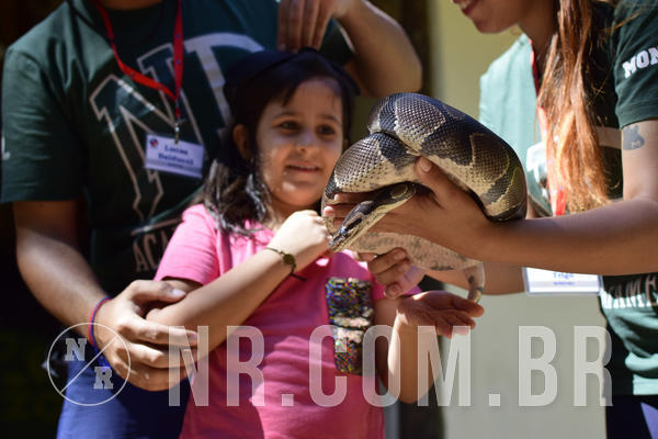 Buy your photos of the eventNR1 - English & Action -  24 a 26/03/19 on Fotop