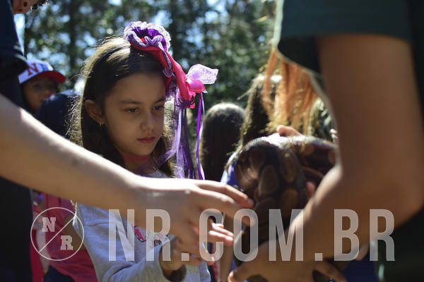 Buy your photos of the eventNR1 - English & Action -  24 a 26/03/19 on Fotop