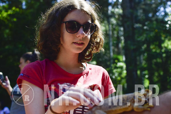 Buy your photos of the eventNR1 - English & Action -  24 a 26/03/19 on Fotop