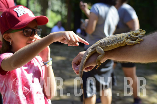 Buy your photos of the eventNR1 - English & Action -  24 a 26/03/19 on Fotop