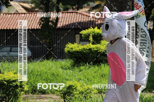 Buy your photos of the event6� Corrida da inconfid�ncia _ Bom Pastor on Fotop