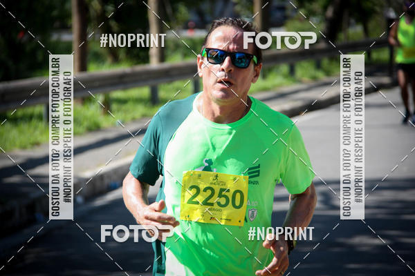 Buy your photos of the eventCorrida do America 2019 on Fotop