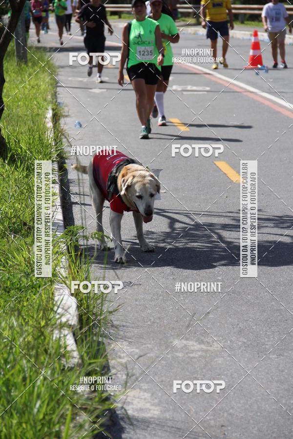 Buy your photos of the eventCorrida do America 2019 on Fotop