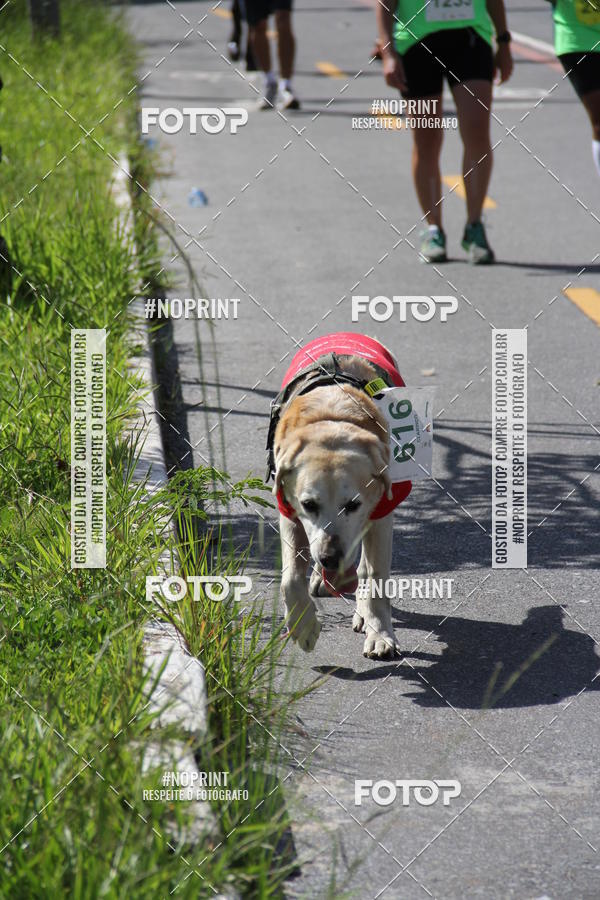 Buy your photos of the eventCorrida do America 2019 on Fotop