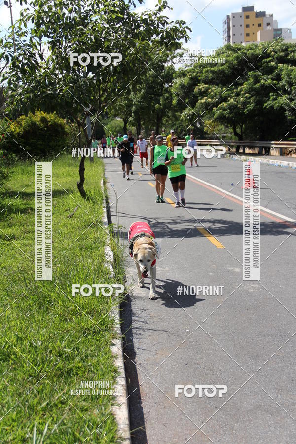 Buy your photos of the eventCorrida do America 2019 on Fotop