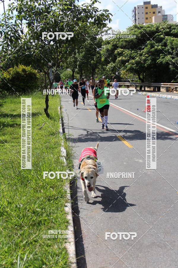Buy your photos of the eventCorrida do America 2019 on Fotop