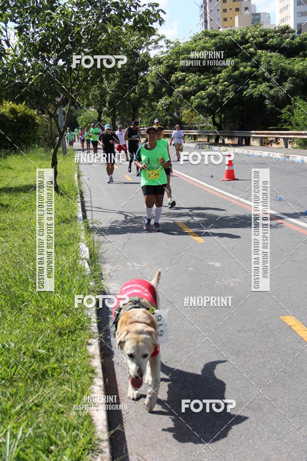 Buy your photos of the eventCorrida do America 2019 on Fotop