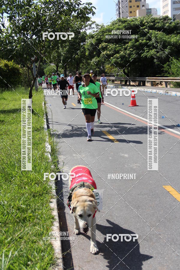 Buy your photos of the eventCorrida do America 2019 on Fotop