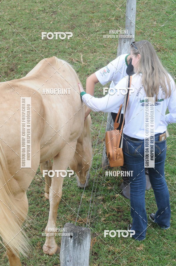 Buy your photos of the eventTAMBOR SOLIDRIO on Fotop