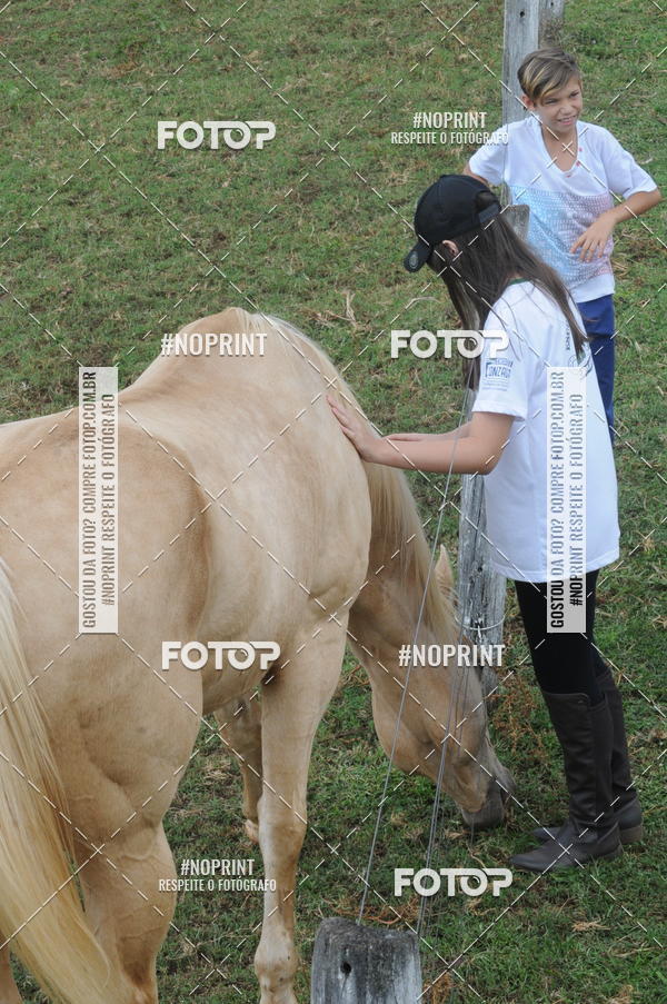 Buy your photos of the eventTAMBOR SOLIDRIO on Fotop