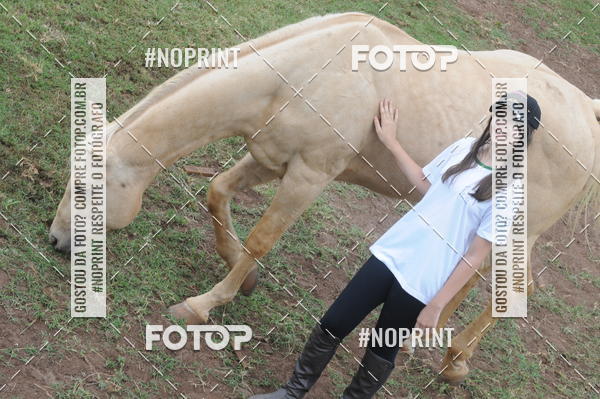 Buy your photos of the eventTAMBOR SOLIDRIO on Fotop