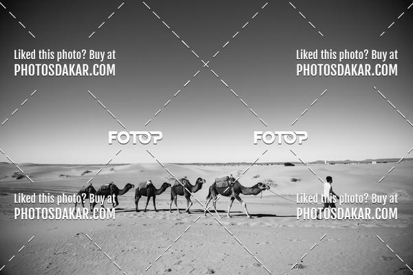 Buy your photos of the eventMerzouga 2019 on Fotop