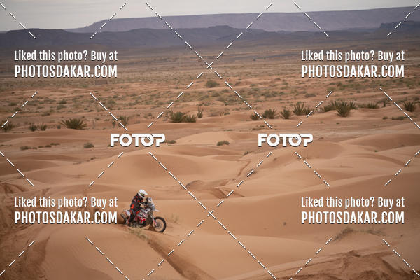 Buy your photos of the eventMerzouga 2019 on Fotop