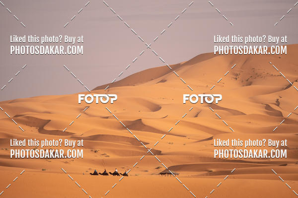 Buy your photos of the eventMerzouga 2019 on Fotop