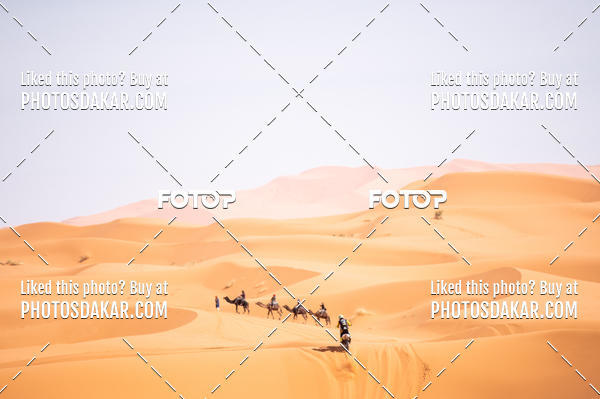 Buy your photos of the eventMerzouga 2019 on Fotop