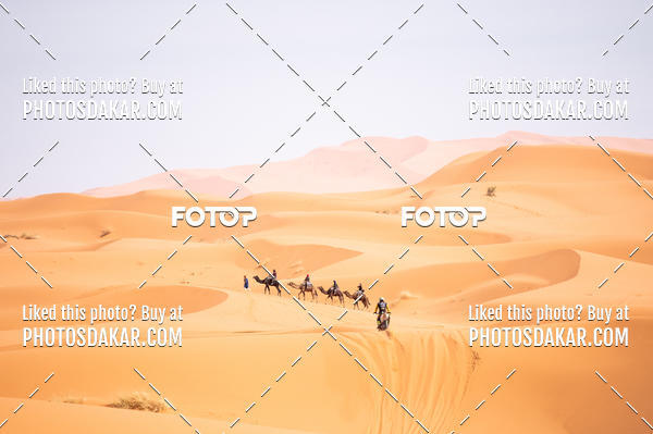 Buy your photos of the eventMerzouga 2019 on Fotop