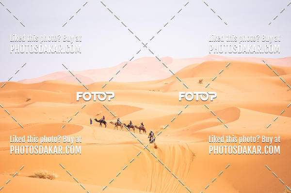 Buy your photos of the eventMerzouga 2019 on Fotop