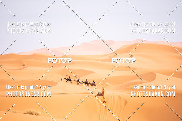 Buy your photos of the eventMerzouga 2019 on Fotop