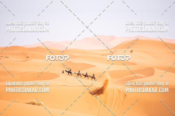 Buy your photos of the eventMerzouga 2019 on Fotop