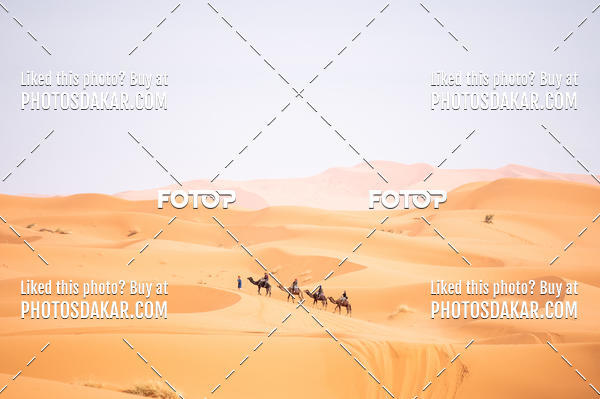 Buy your photos of the eventMerzouga 2019 on Fotop