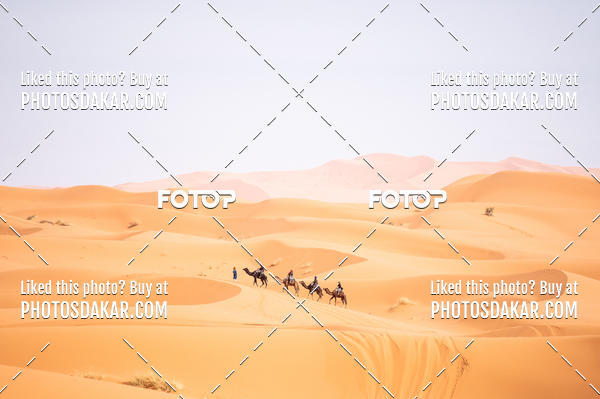 Buy your photos of the eventMerzouga 2019 on Fotop