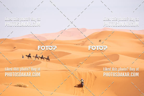 Buy your photos of the eventMerzouga 2019 on Fotop