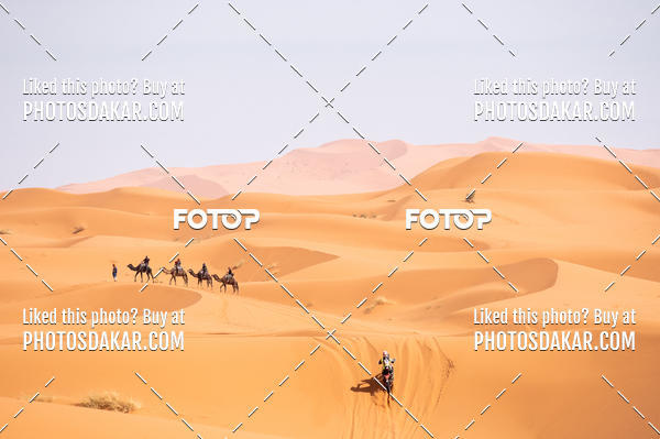 Buy your photos of the eventMerzouga 2019 on Fotop