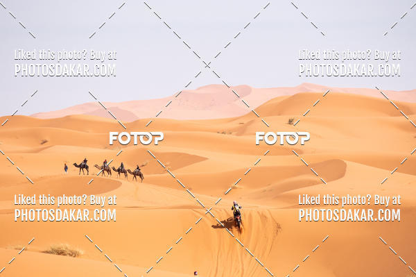 Buy your photos of the eventMerzouga 2019 on Fotop