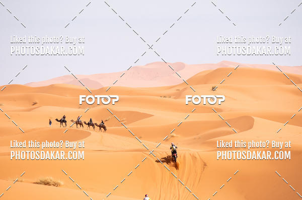 Buy your photos of the eventMerzouga 2019 on Fotop