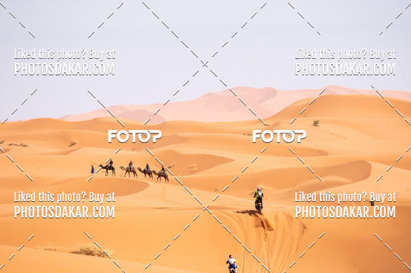 Buy your photos of the eventMerzouga 2019 on Fotop