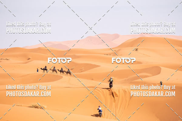 Buy your photos of the eventMerzouga 2019 on Fotop