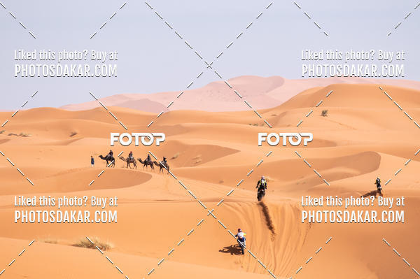 Buy your photos of the eventMerzouga 2019 on Fotop