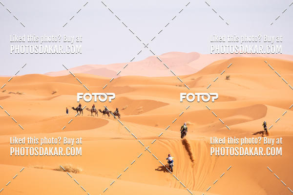 Buy your photos of the eventMerzouga 2019 on Fotop