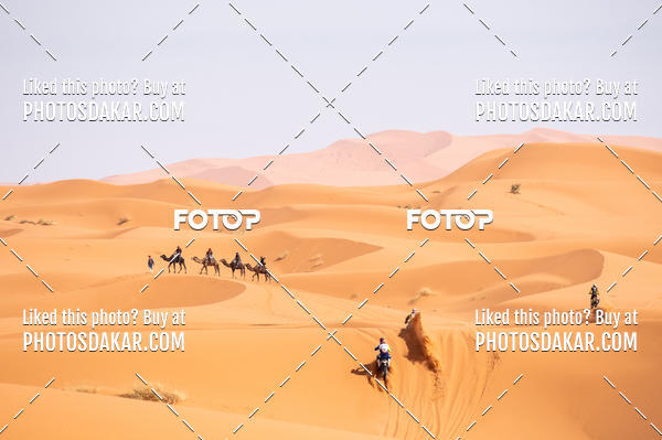 Buy your photos of the eventMerzouga 2019 on Fotop