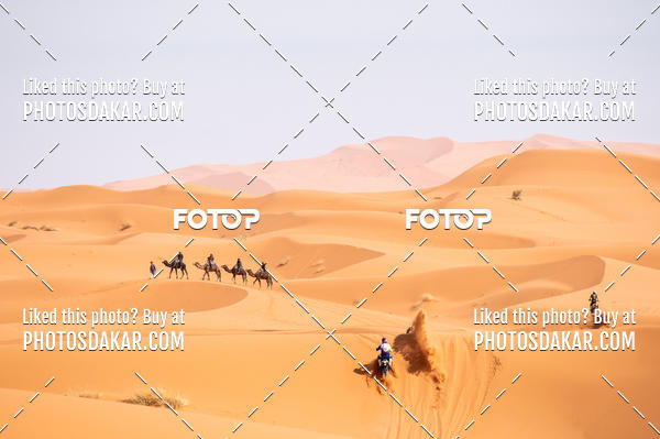 Buy your photos of the eventMerzouga 2019 on Fotop
