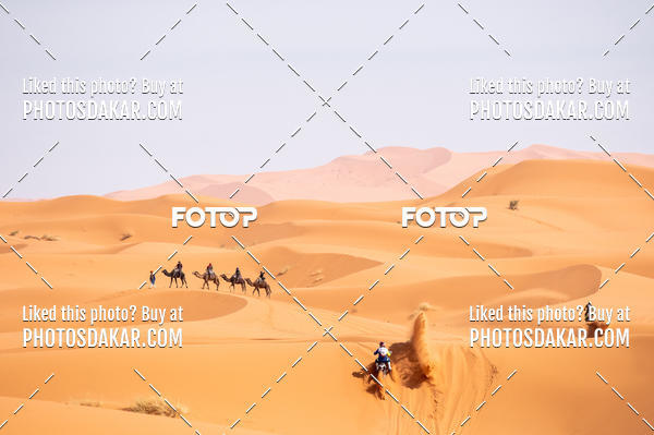 Buy your photos of the eventMerzouga 2019 on Fotop