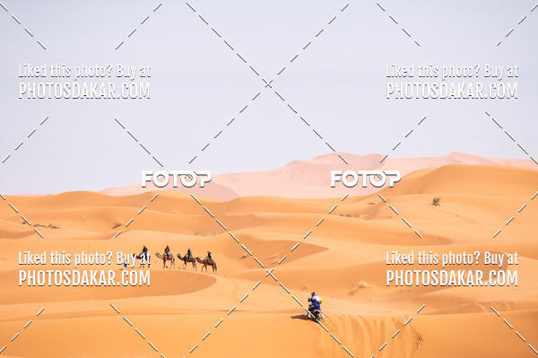 Buy your photos of the eventMerzouga 2019 on Fotop