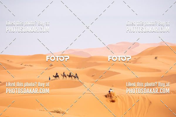 Buy your photos of the eventMerzouga 2019 on Fotop