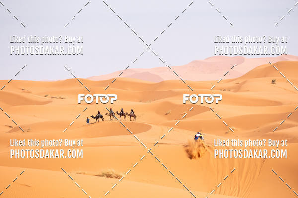 Buy your photos of the eventMerzouga 2019 on Fotop