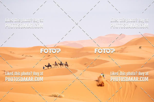 Buy your photos of the eventMerzouga 2019 on Fotop
