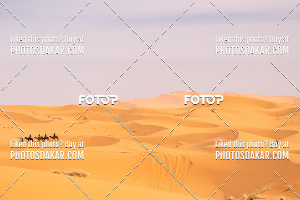 Buy your photos of the eventMerzouga 2019 on Fotop