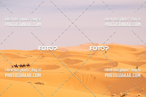Buy your photos of the eventMerzouga 2019 on Fotop