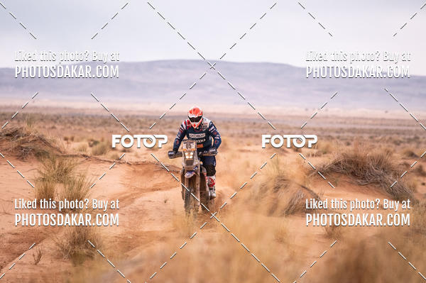 Buy your photos of the eventMerzouga 2019 on Fotop