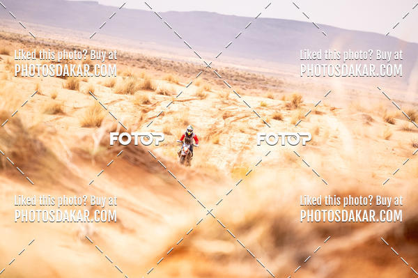 Buy your photos of the eventMerzouga 2019 on Fotop