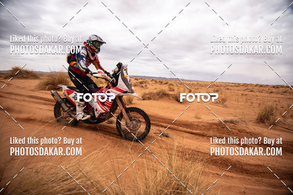 Buy your photos of the eventMerzouga 2019 on Fotop