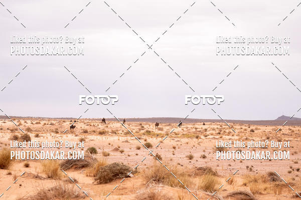 Buy your photos of the eventMerzouga 2019 on Fotop
