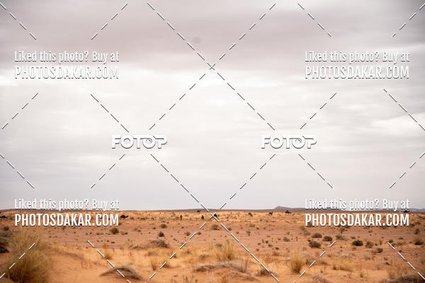 Buy your photos of the eventMerzouga 2019 on Fotop