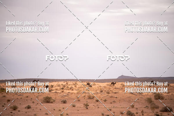 Buy your photos of the eventMerzouga 2019 on Fotop