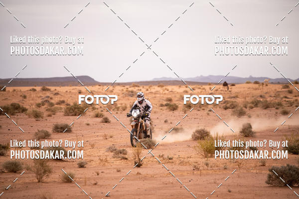 Buy your photos of the eventMerzouga 2019 on Fotop