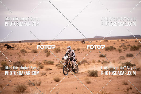 Buy your photos of the eventMerzouga 2019 on Fotop